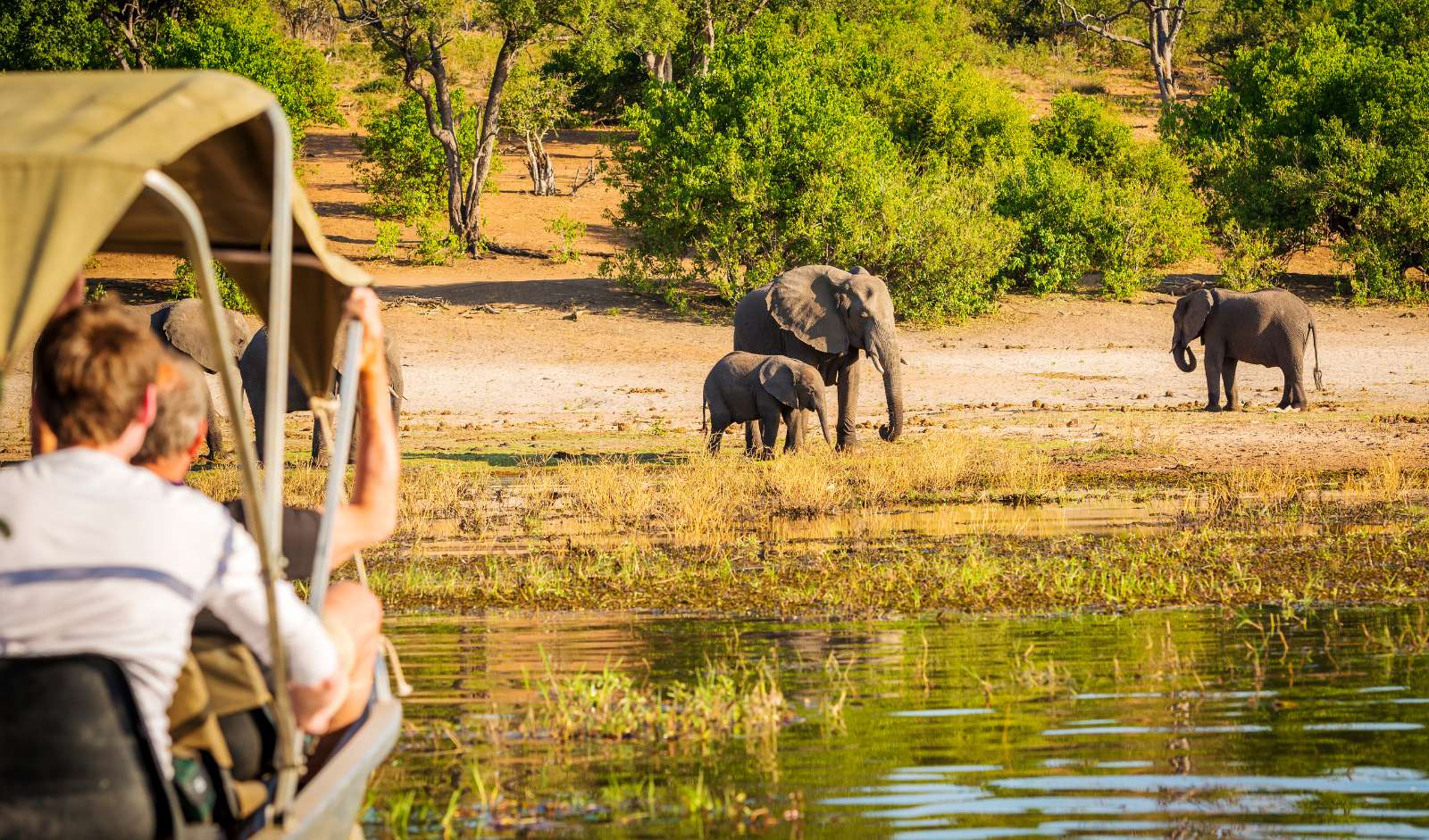 Africa Safaris