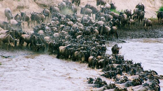 Kenya Migración