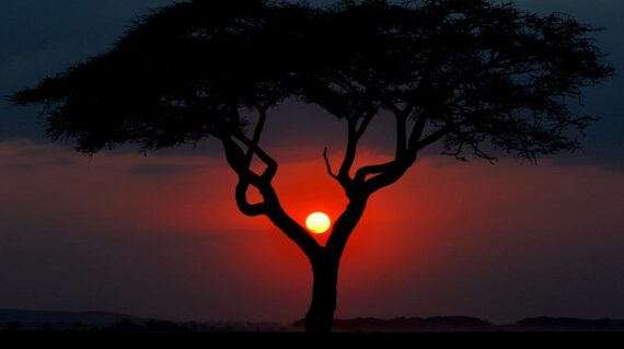 Kenia