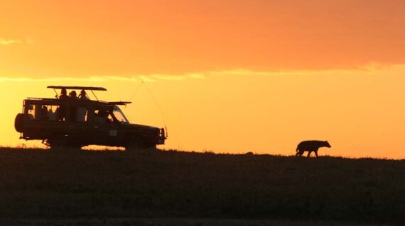 Safari en Kenia