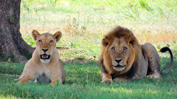 Tanzania