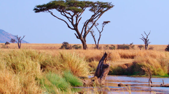 Tanzania