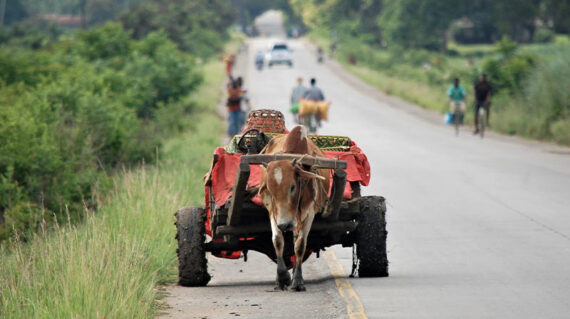 Tanzania Zanzibar carretera