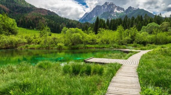Zelenci