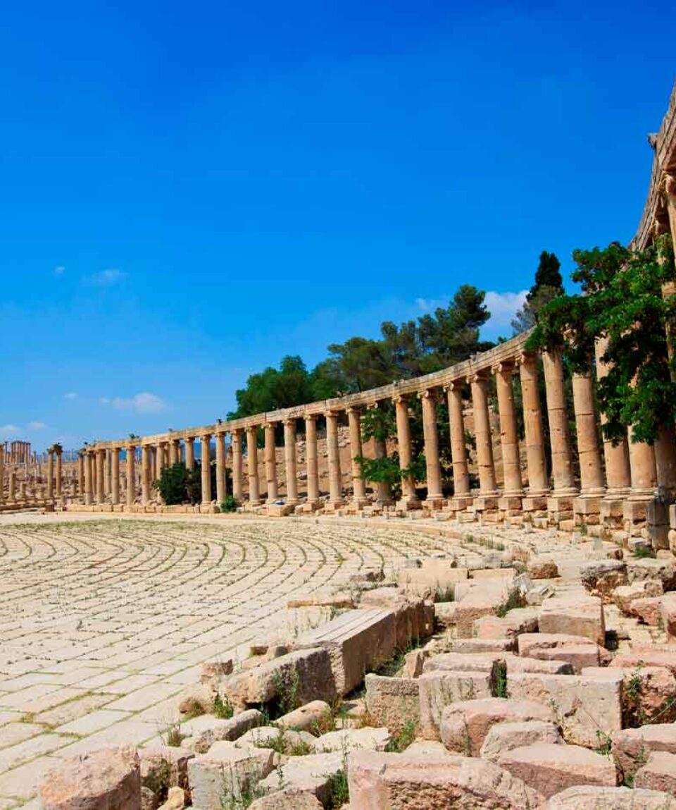 Jerash columnata