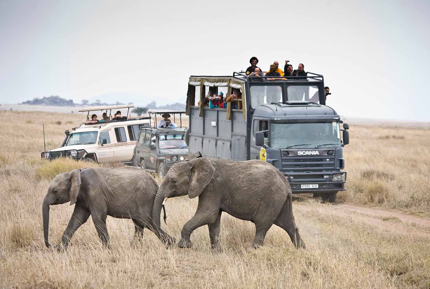 Camion de Safari