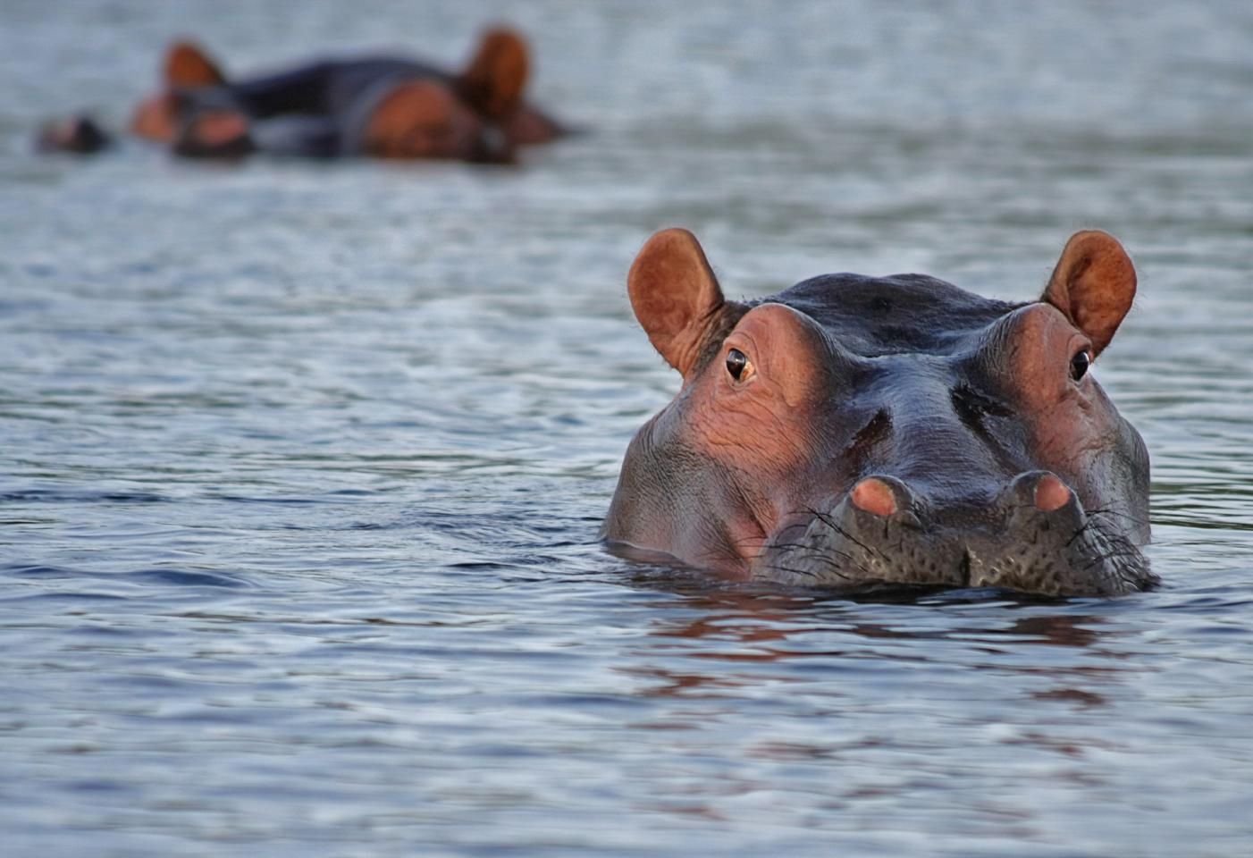 Botswana