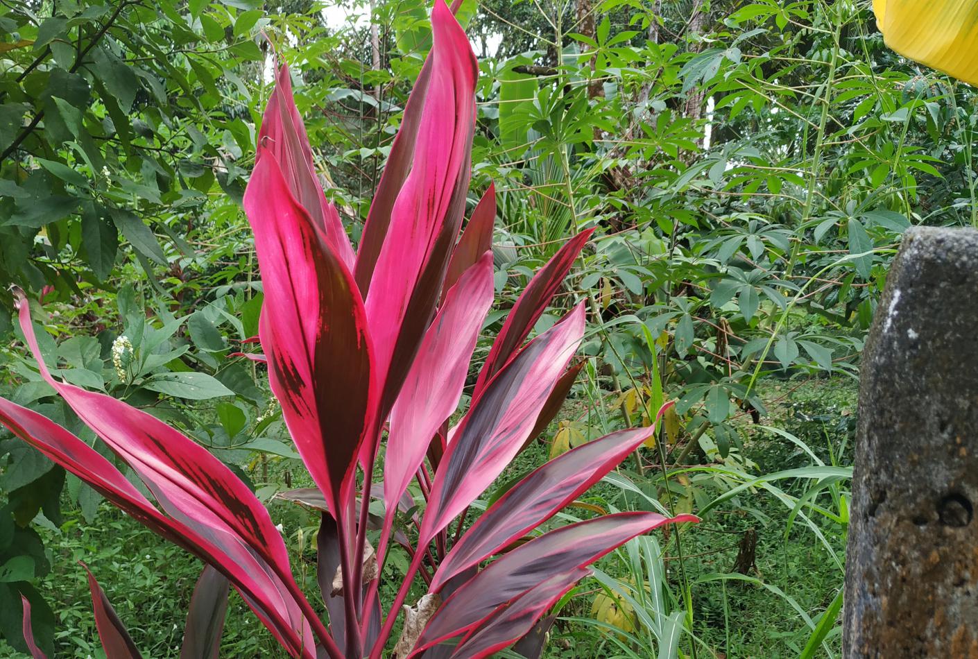 Costa Rica Incógnita
