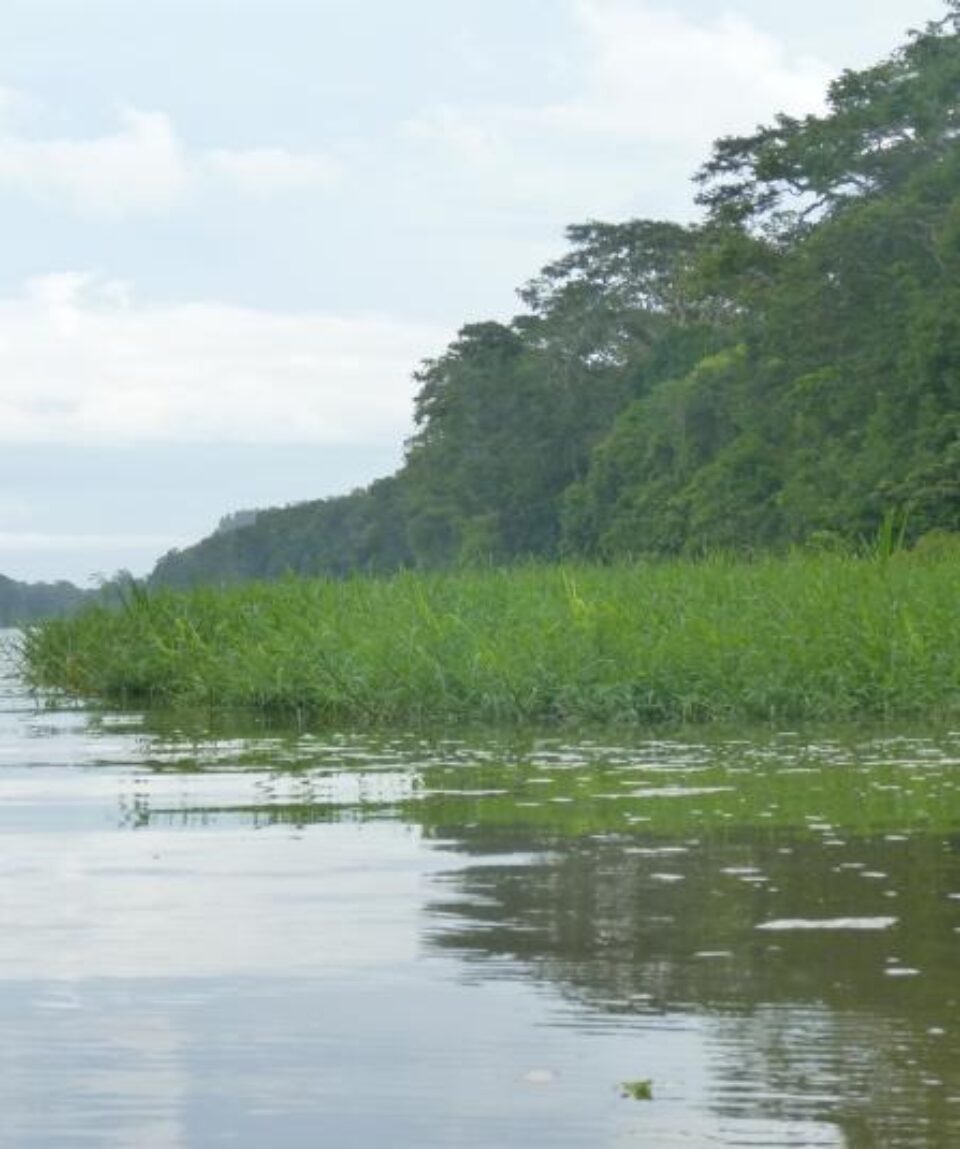 Canales de Tortuguero
