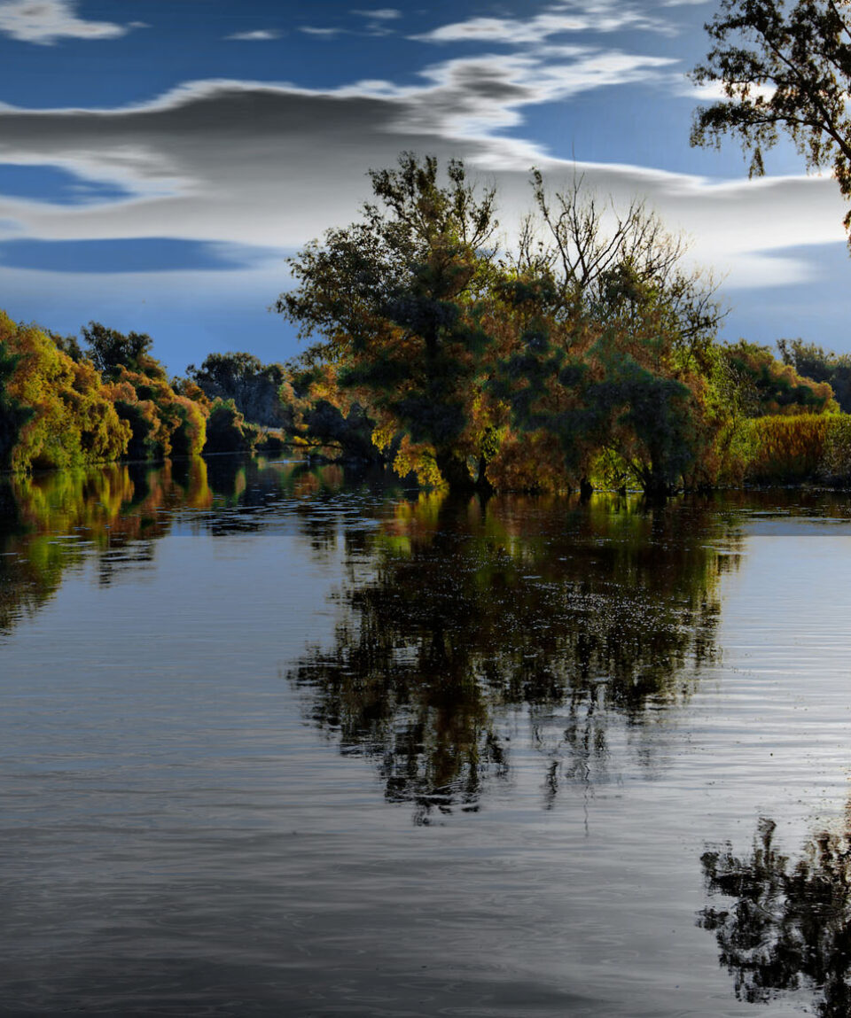 Delta del Danubio