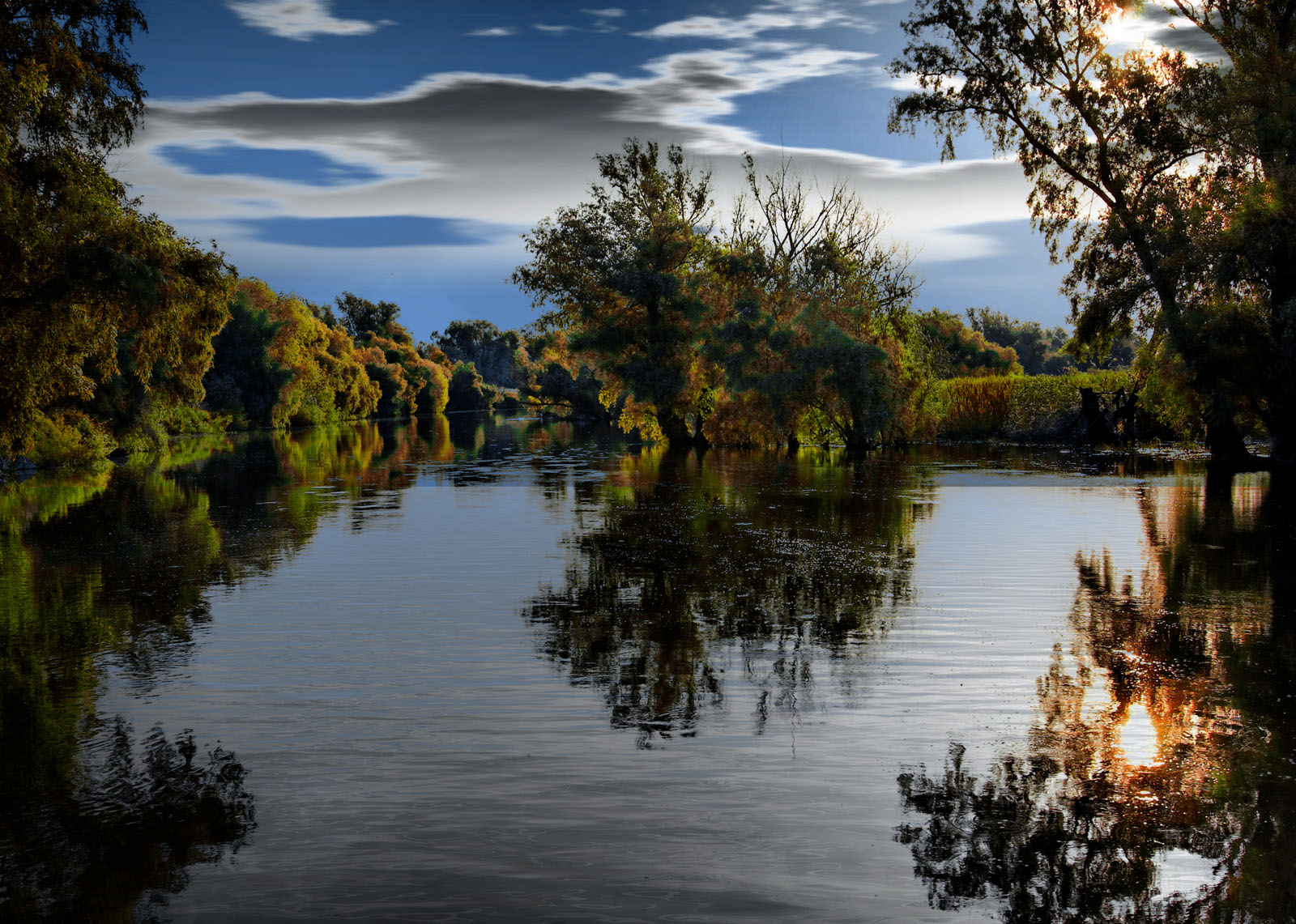 Delta del Danubio