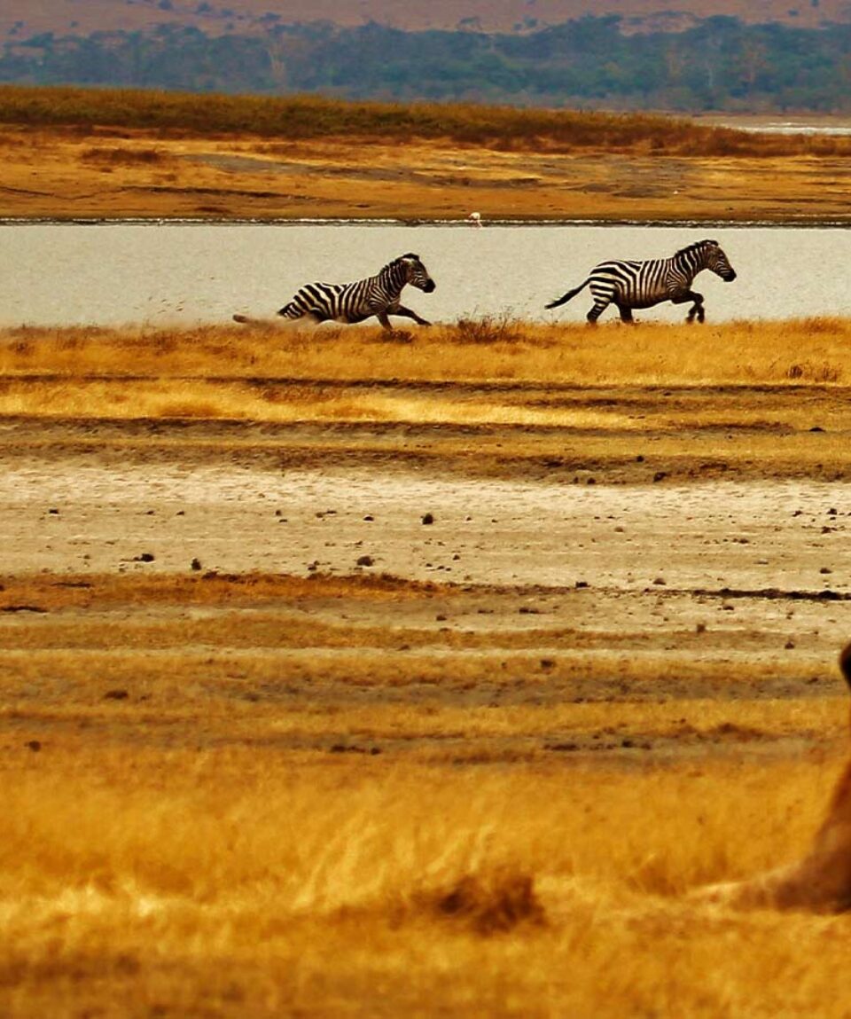 Tanzania
