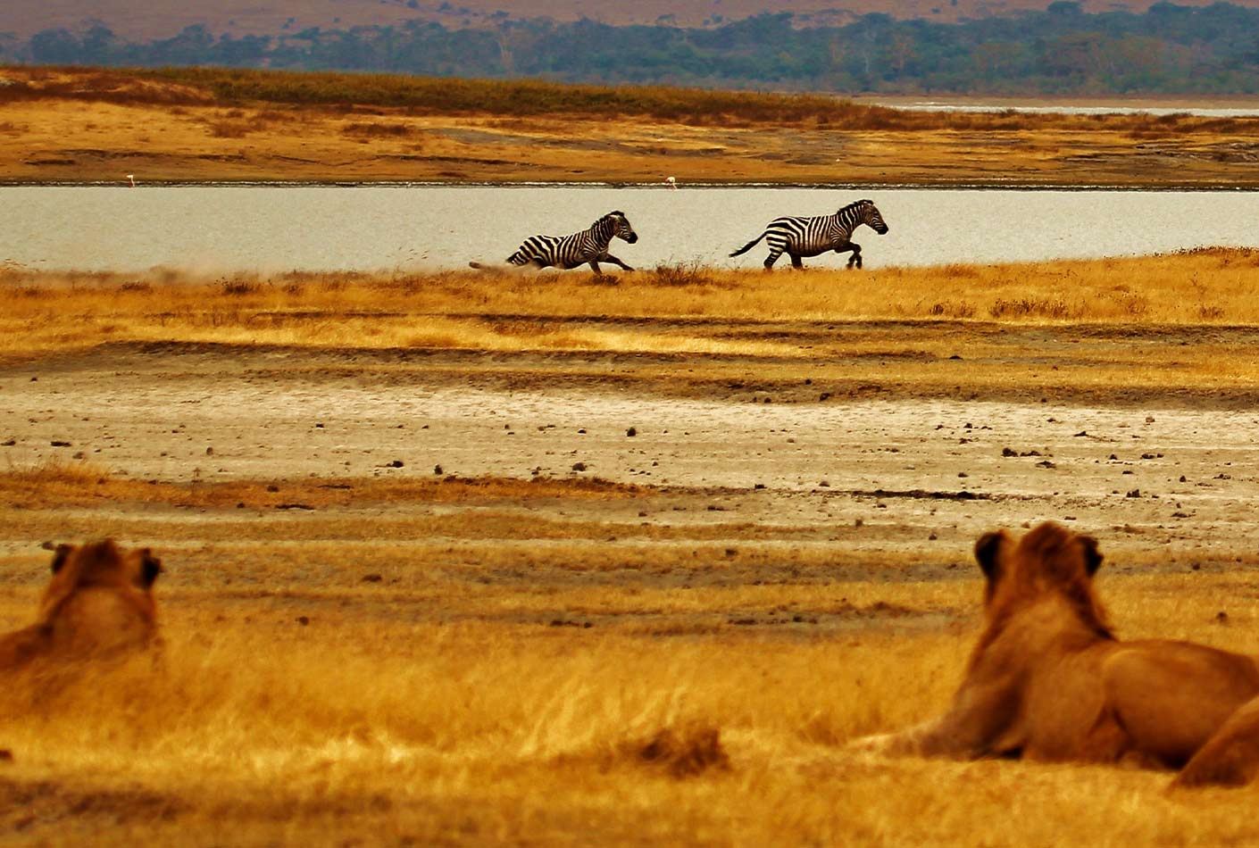 Tanzania