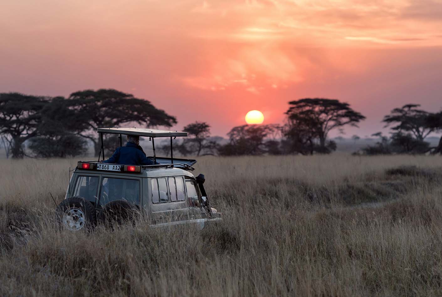 coches Safari