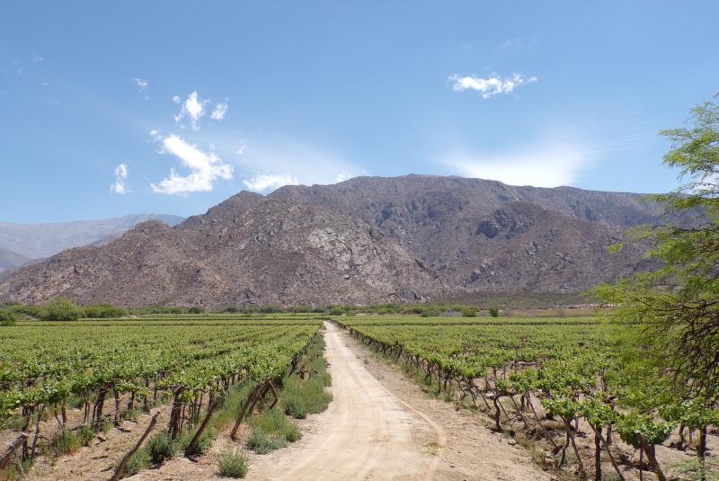 Argentina Norte Salta