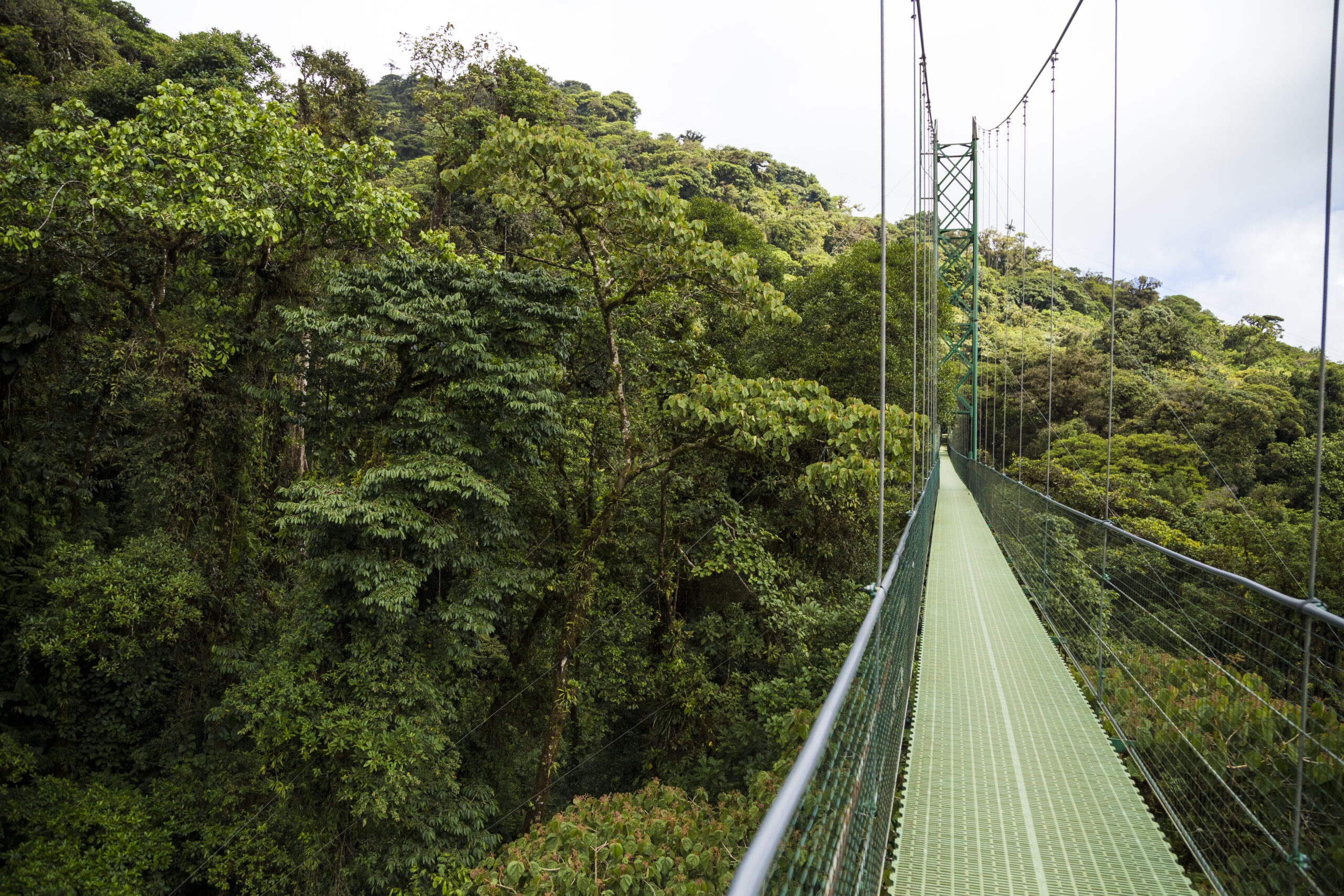 puente-colgante-de-aventura-en-la-selva-tropical-en-costa-rica