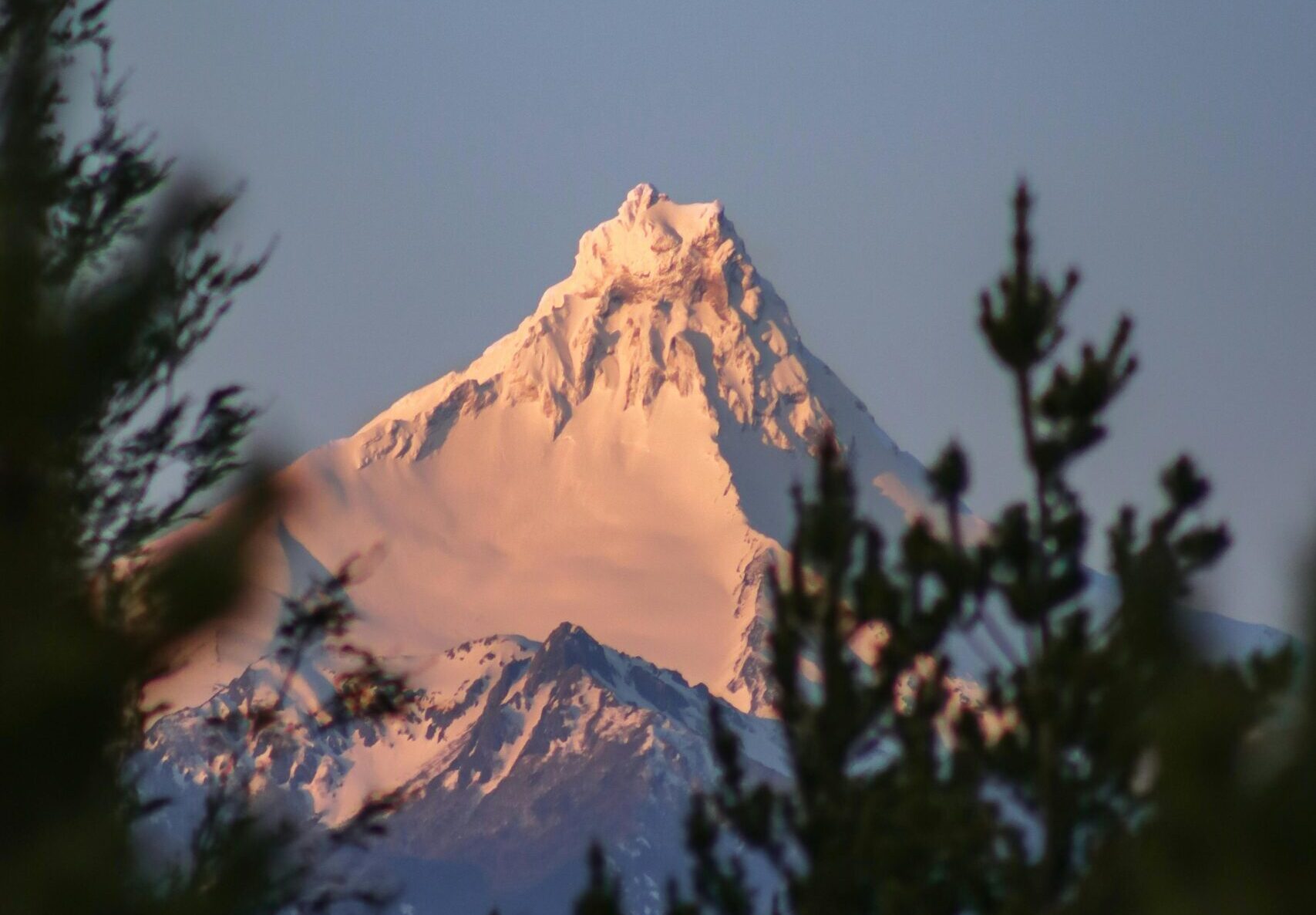 pexels-rodrigo-a-36100054-14656927